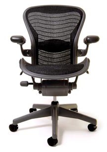 Aeron Fully Loaded Adjustable Lumbar - Titanium - By Herman Miller -  Madison Seating